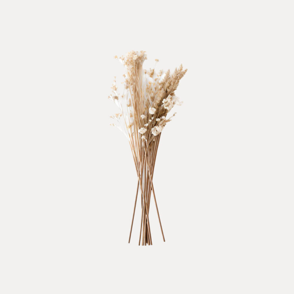 shop49-product43-1 Product Image